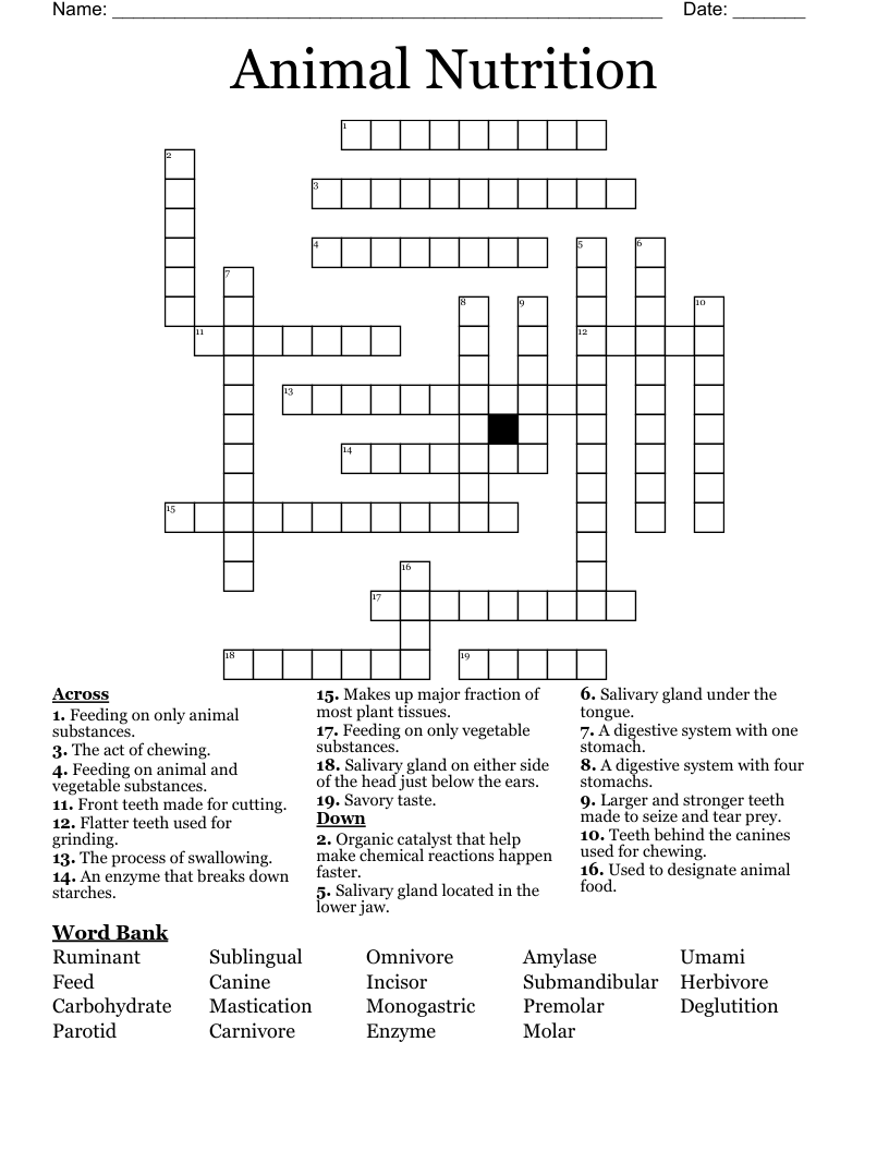 Animal Nutrition Crossword