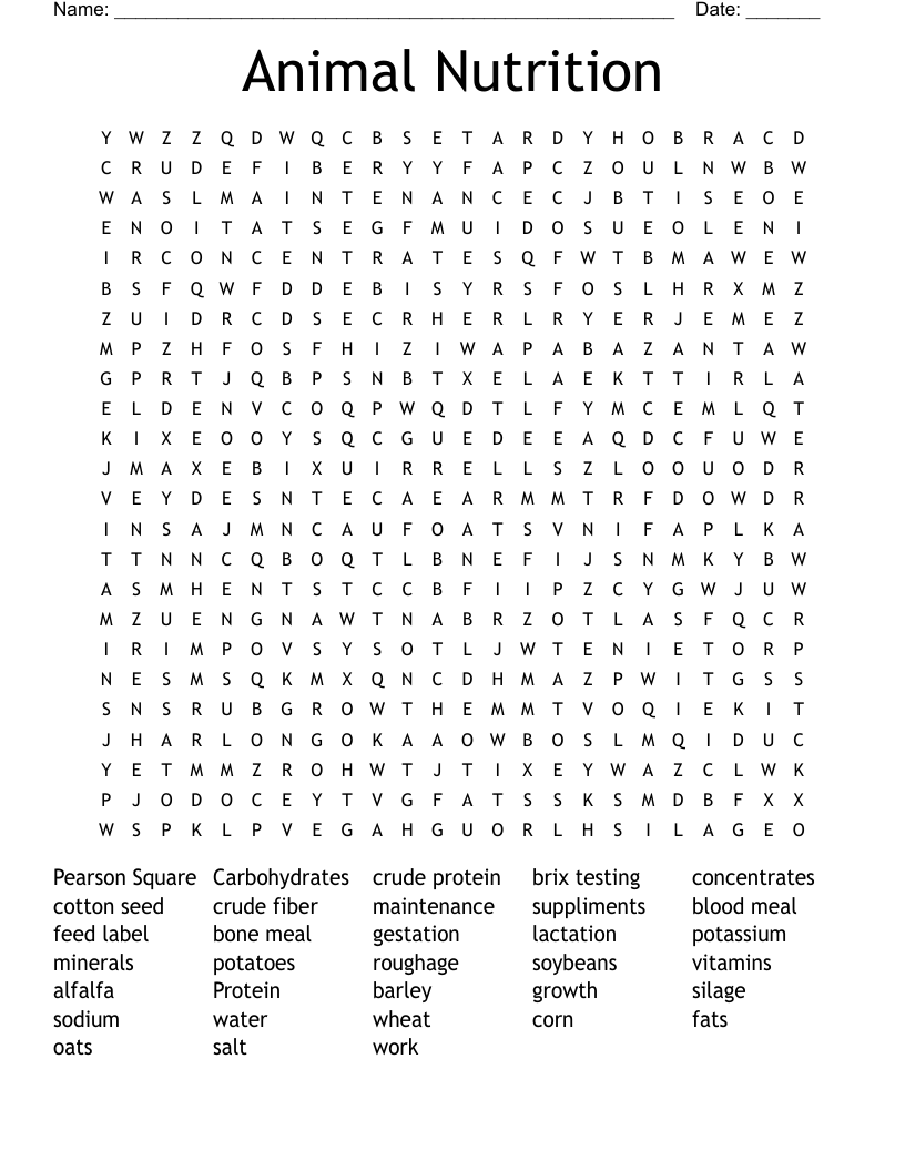 Animal Nutrition Word Search