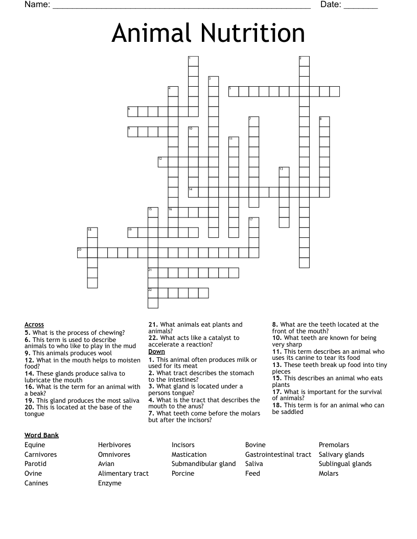 Animal Nutrition Crossword