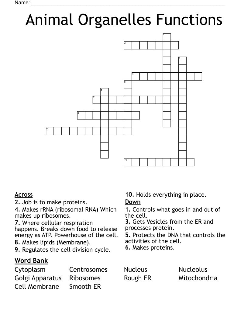 Animal Organelles Functions Crossword