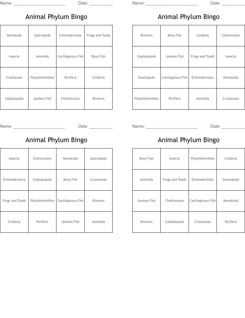 Animal Phylum Bingo