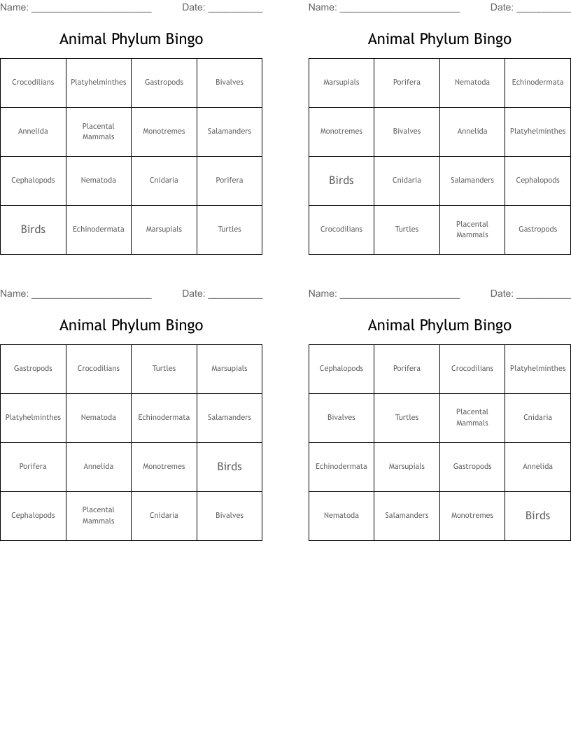 Animal Phylum Bingo