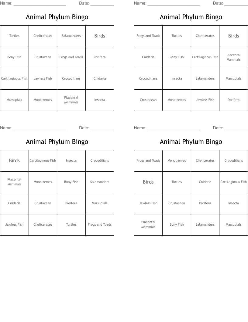 Animal Phylum Bingo