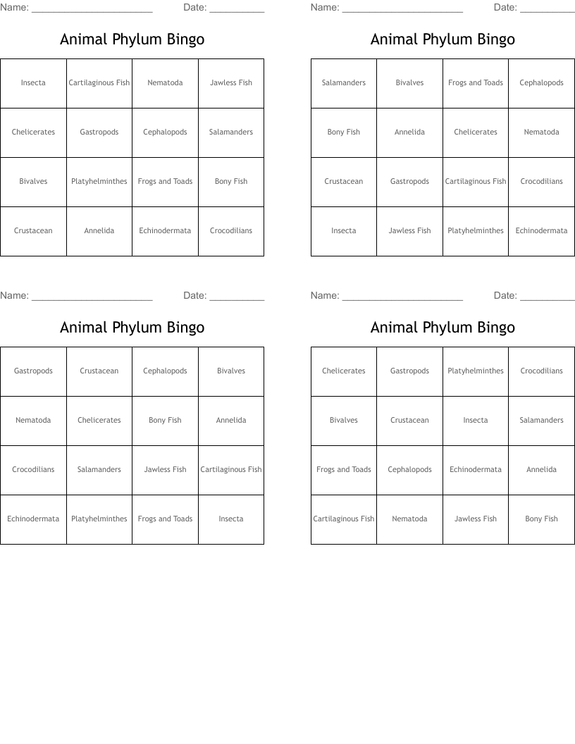 Animal Phylum Bingo