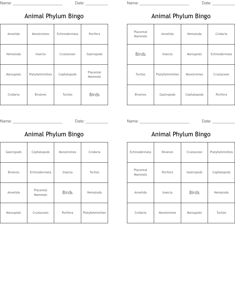Animal Phylum Bingo