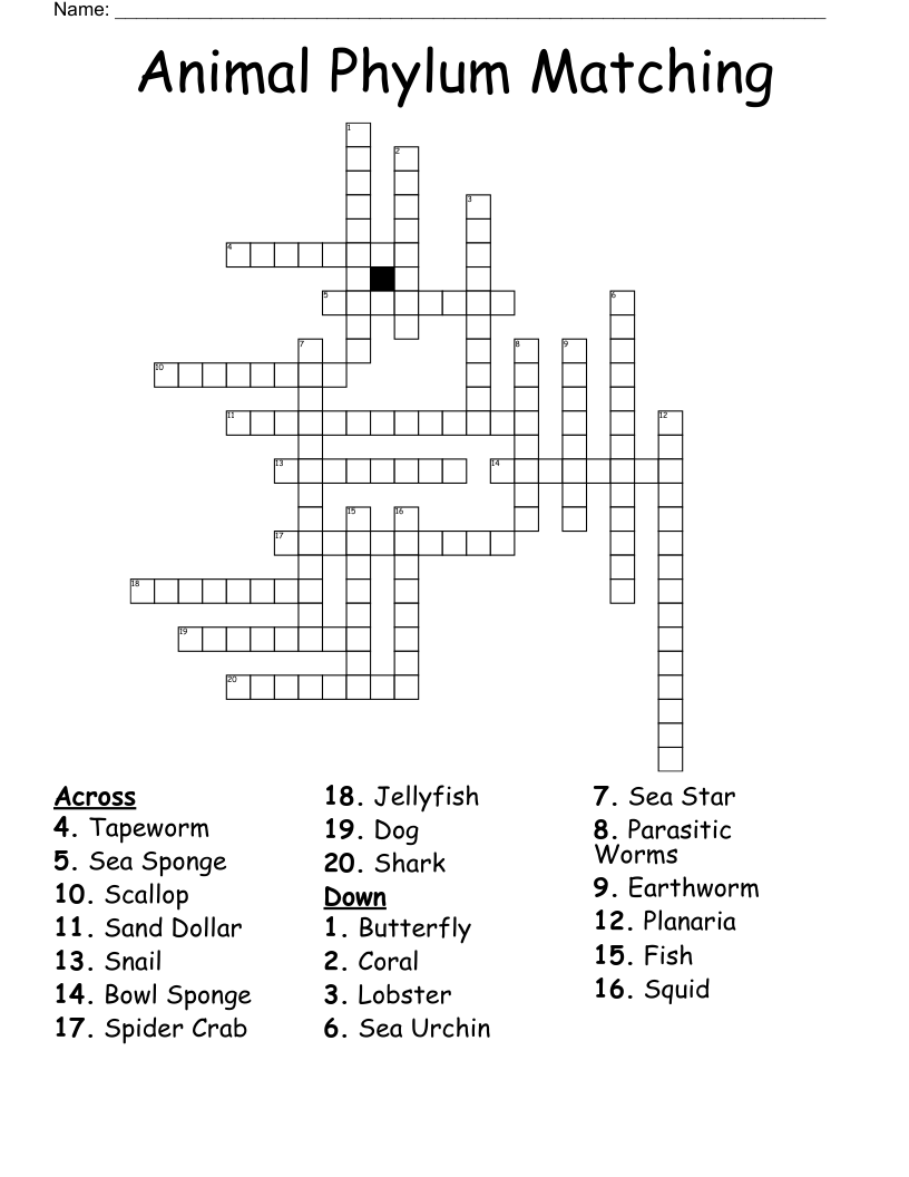 Animal Phylum Matching Crossword