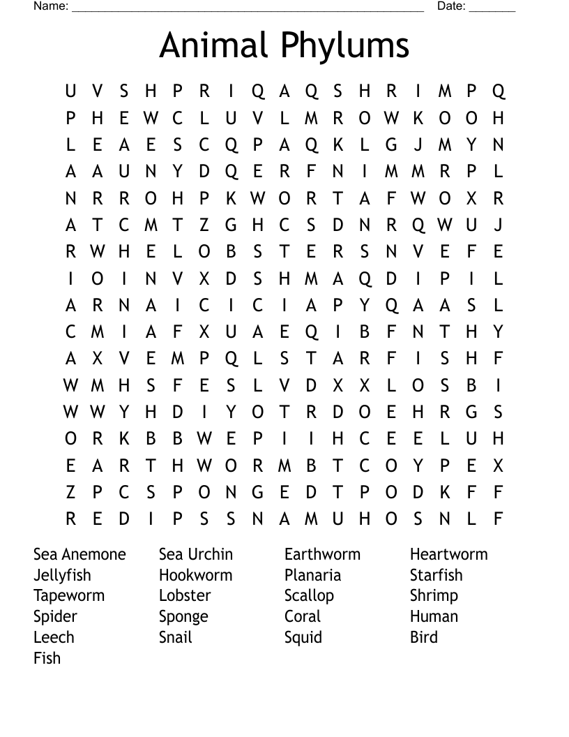 Animal Phylums Word Search