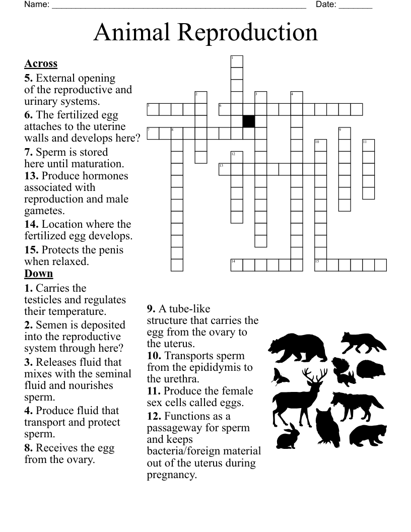 Animal Reproduction Crossword