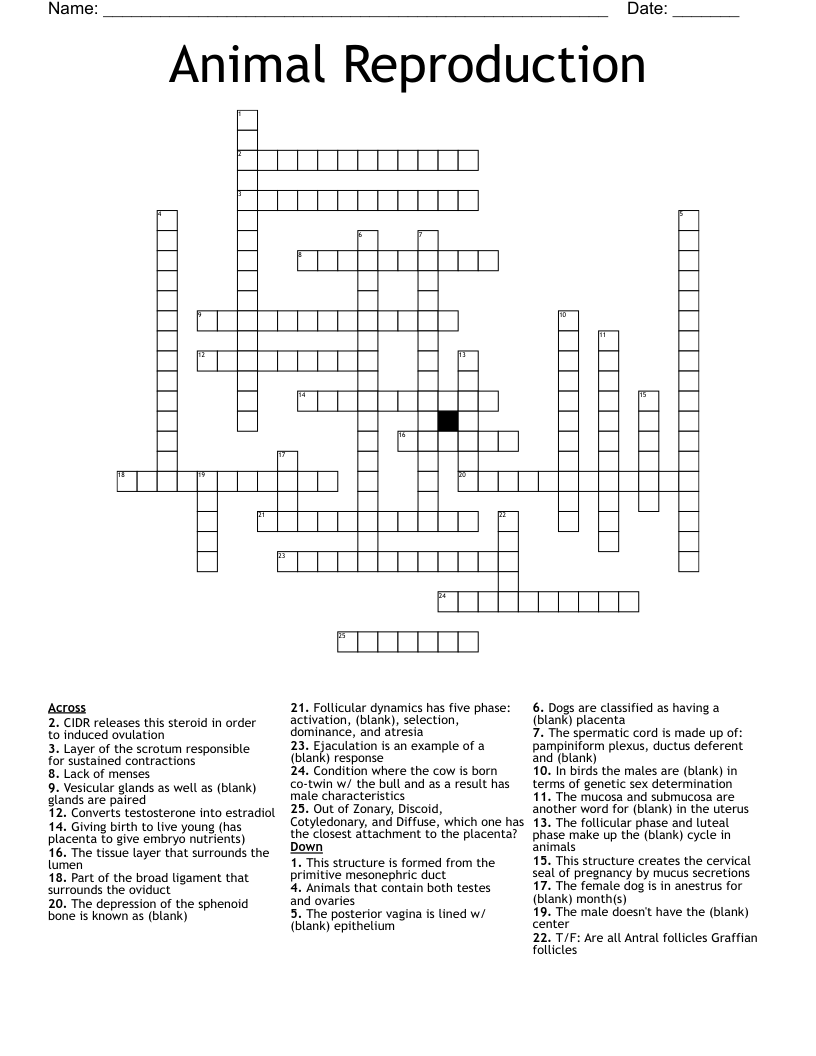 Animal Reproduction  Crossword