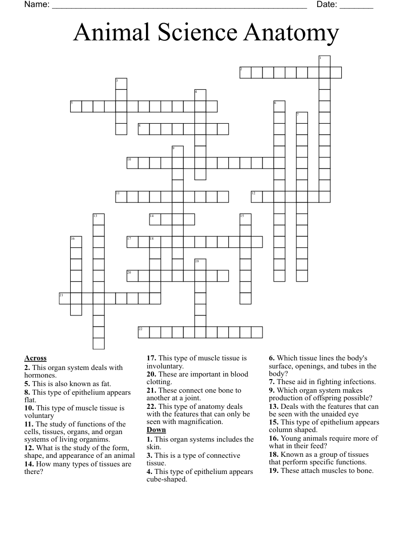Animal Science Anatomy  Crossword
