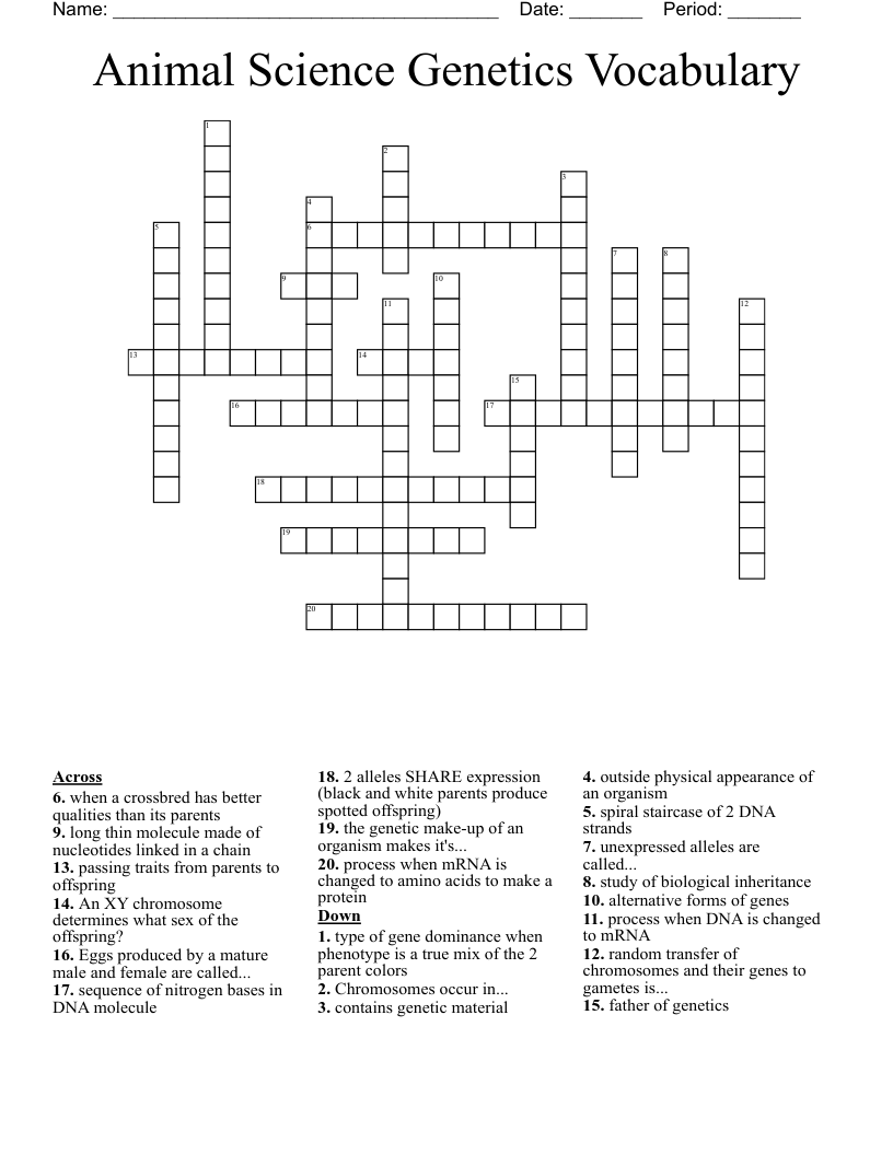 Animal Science Genetics Vocabulary Crossword