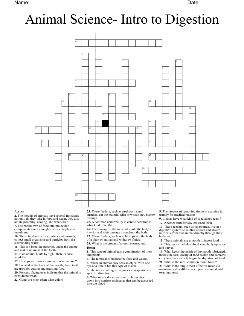 Animal Science- Intro to Digestion Crossword