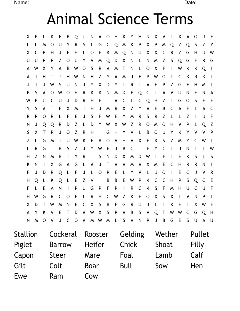 Animal Science Terms Word Search