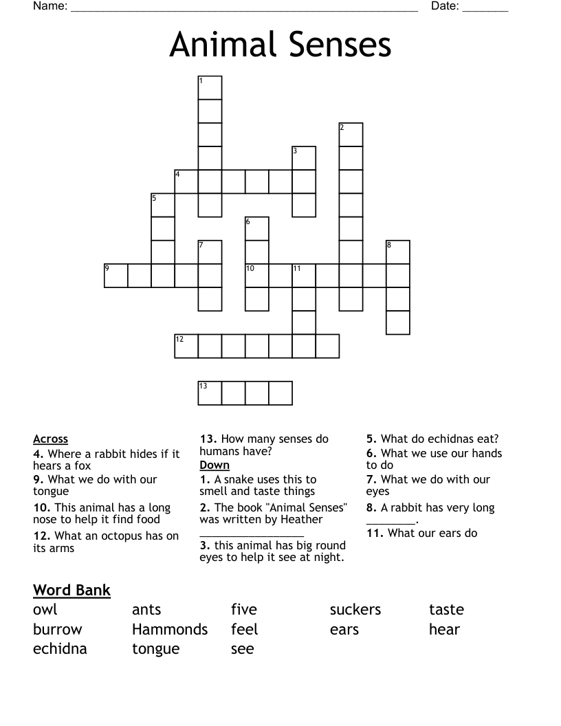 Animal Senses Crossword