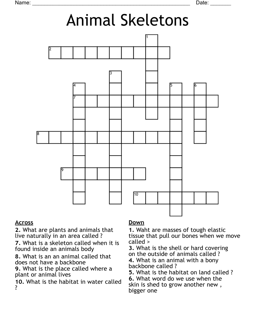 Animal Skeletons Crossword