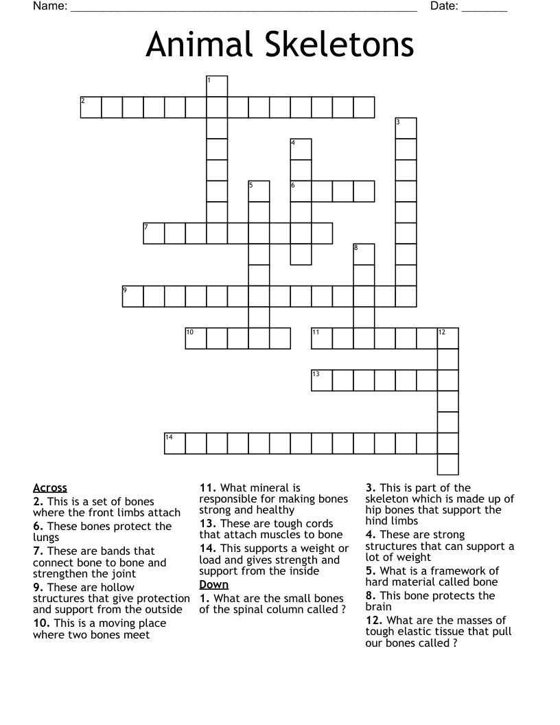 Animal Skeletons Crossword