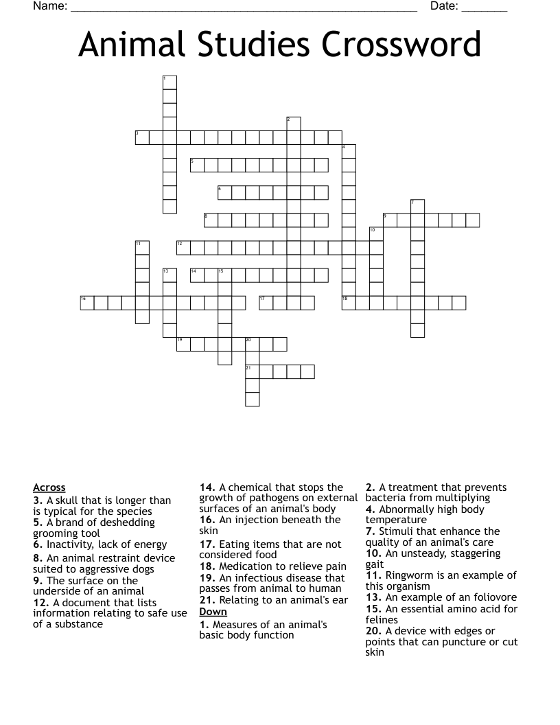 Animal Studies Crossword
