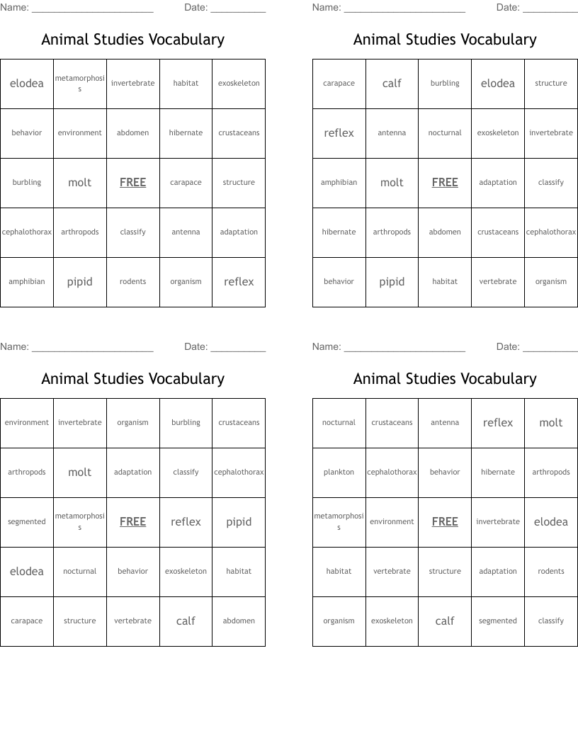 Animal Studies Vocabulary Bingo Cards