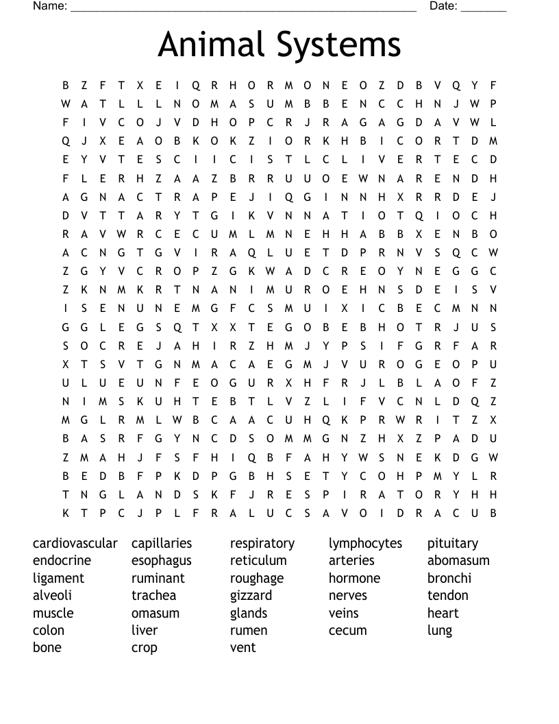 Animal Systems  Word Search