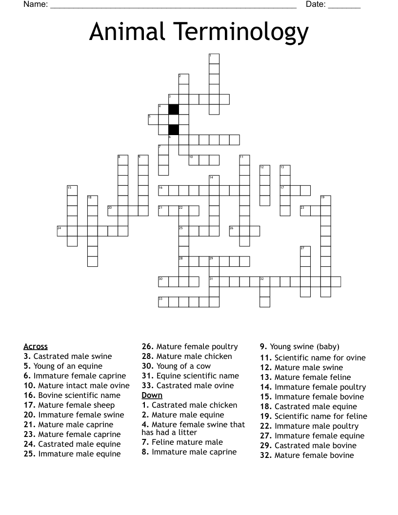Animal Terminology Crossword