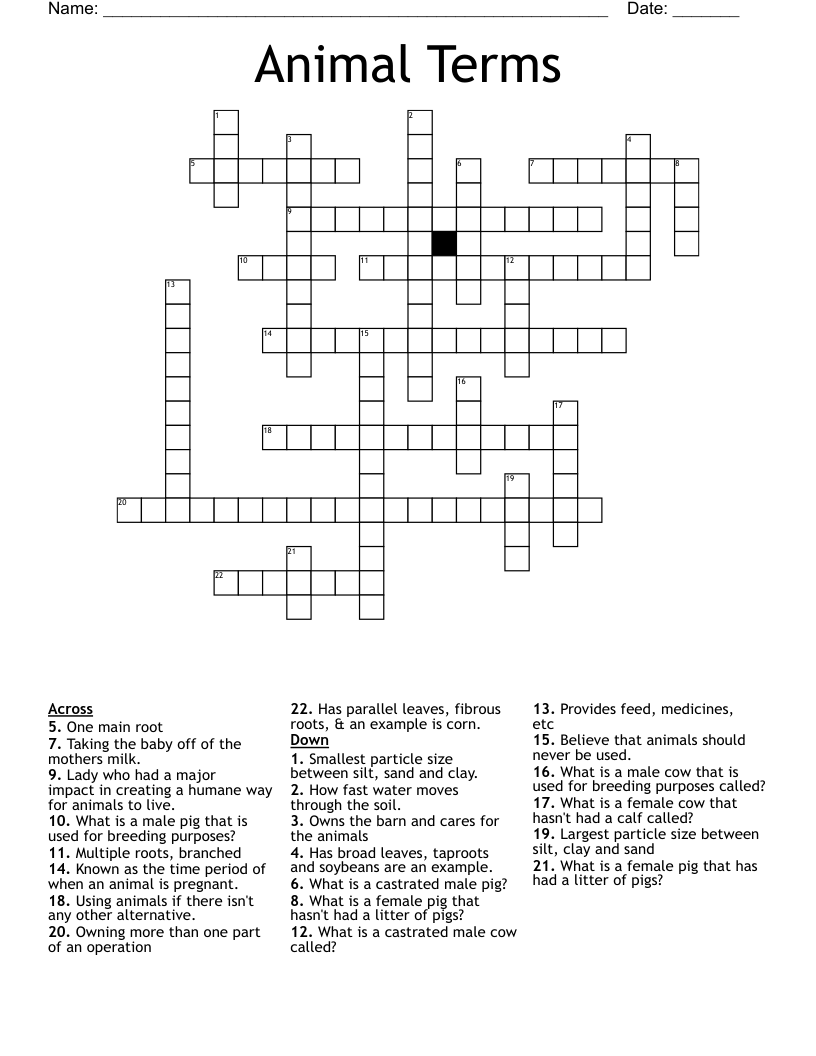 Animal Terms Crossword