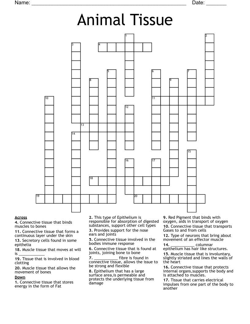 Animal Tissue Crossword