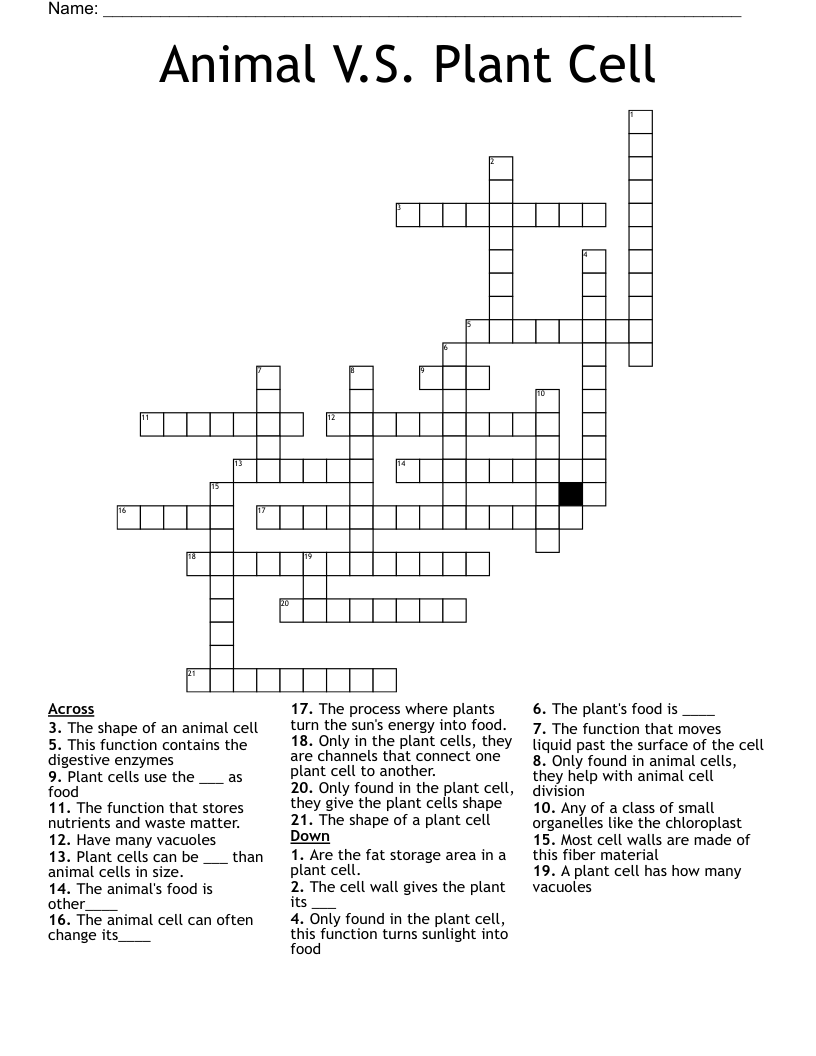 Animal V.S. Plant Cell Crossword
