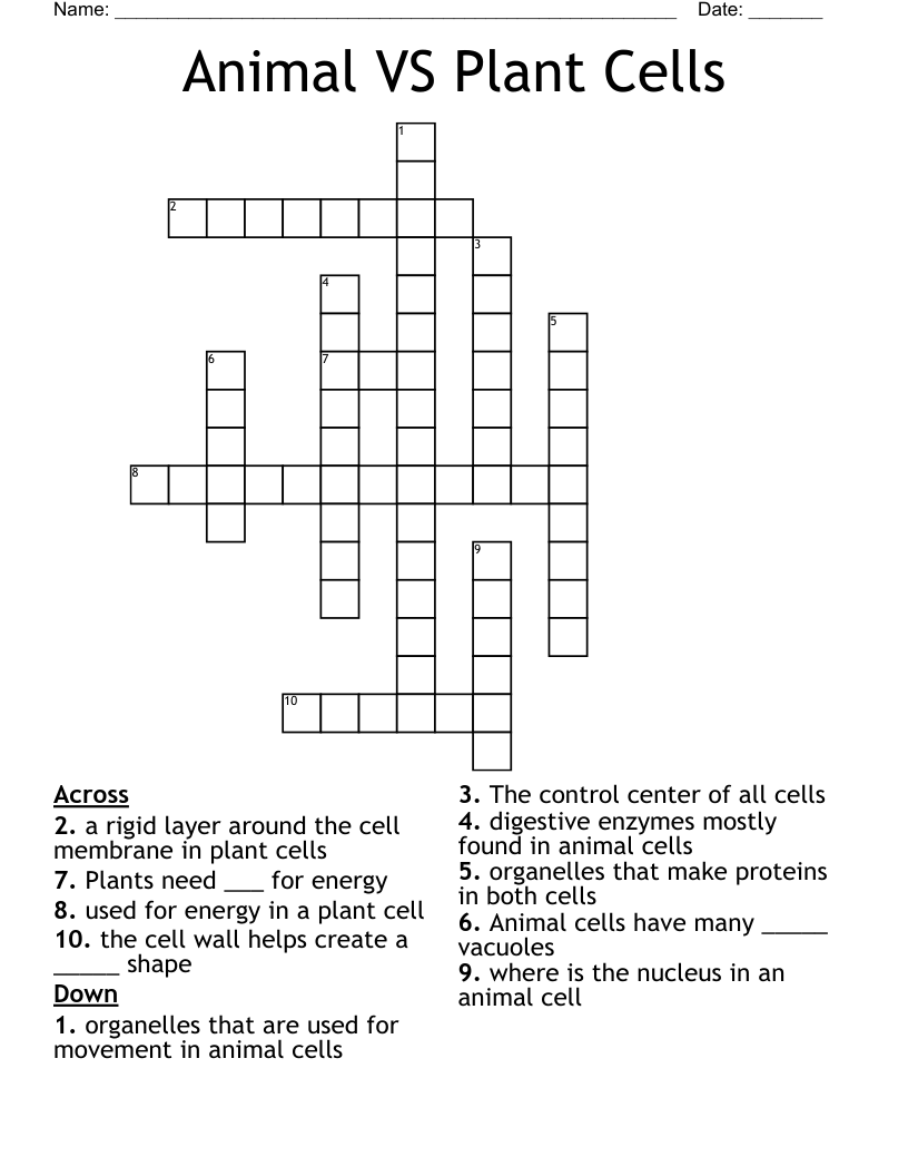 Animal VS Plant Cells Crossword