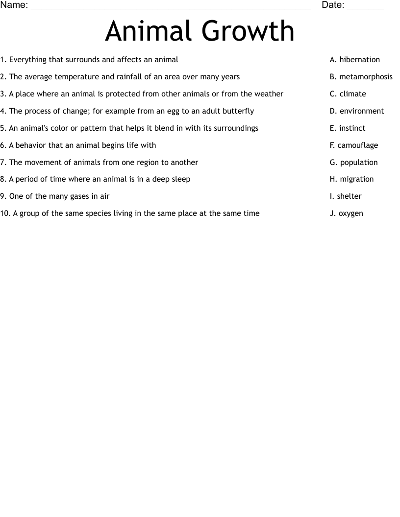 Animal  Growth Worksheet