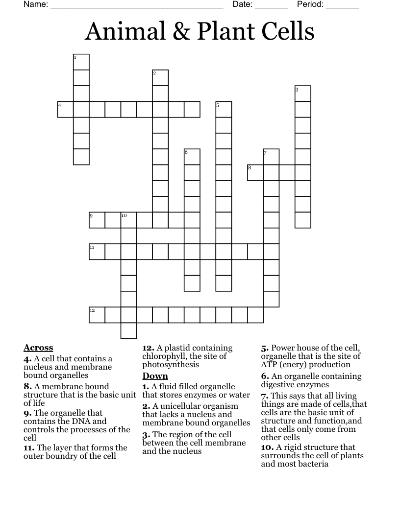 Animal & Plant Cells Crossword