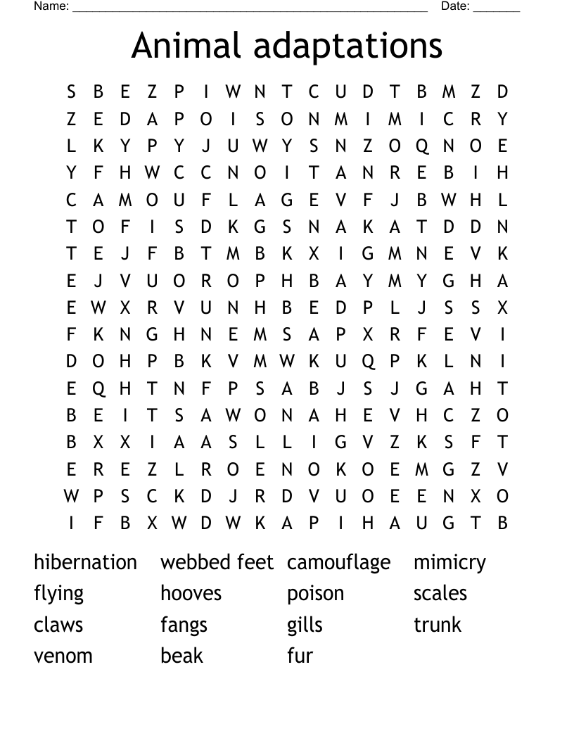 Animal adaptations Word Search