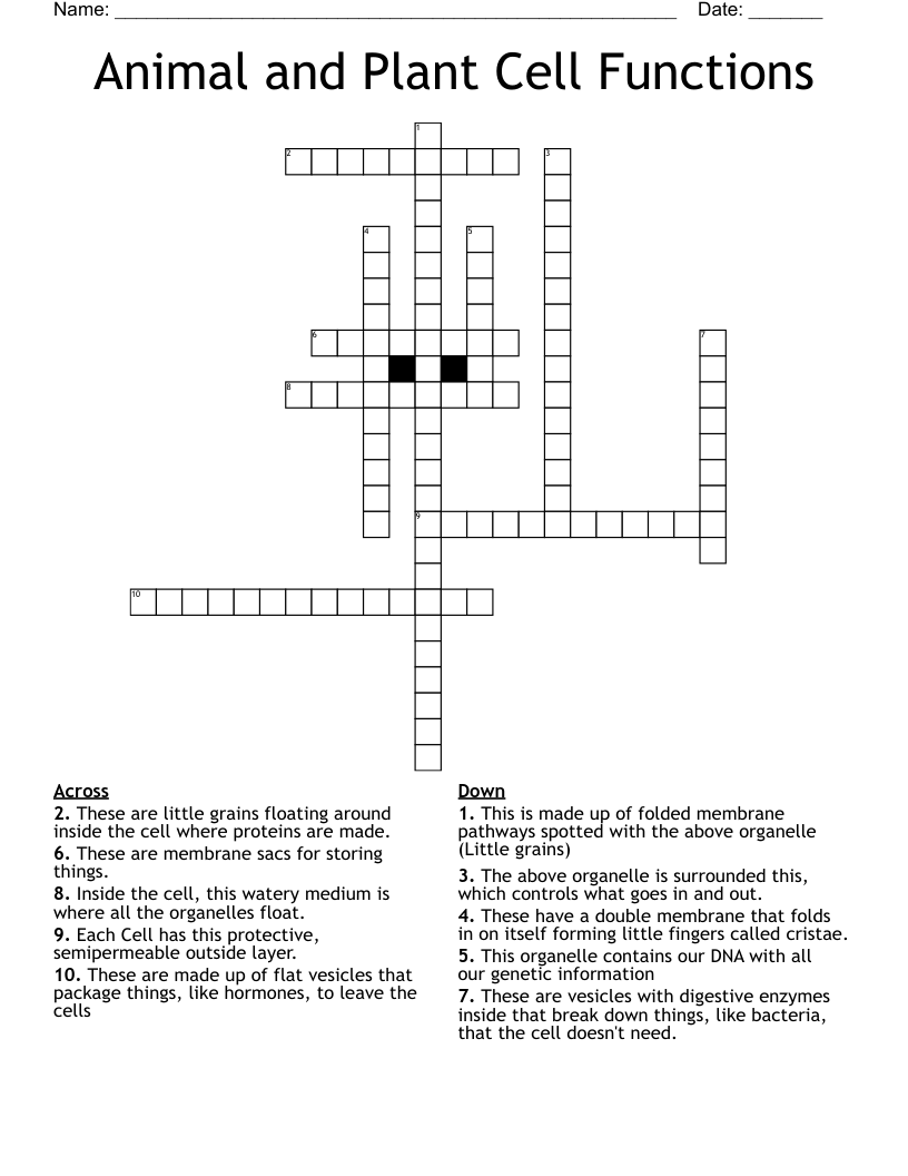 Animal and Plant Cell Functions Crossword