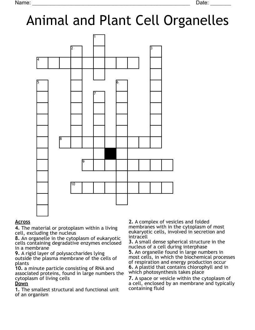 Animal and Plant Cell Organelles Crossword