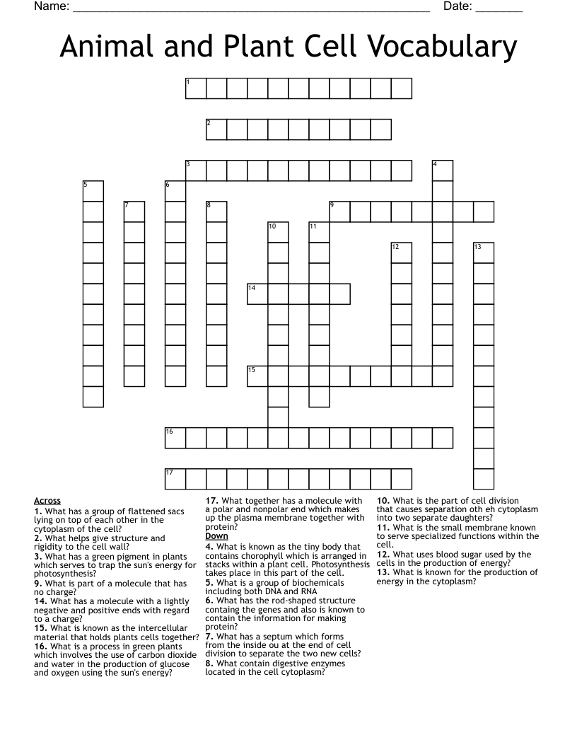 Animal and Plant Cell Vocabulary Crossword