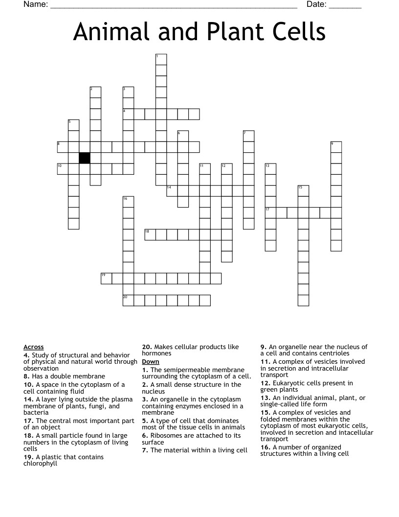 Animal and Plant Cells Crossword