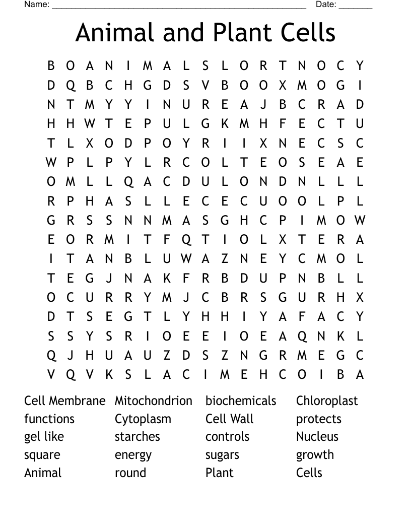Animal and Plant Cells Word Search