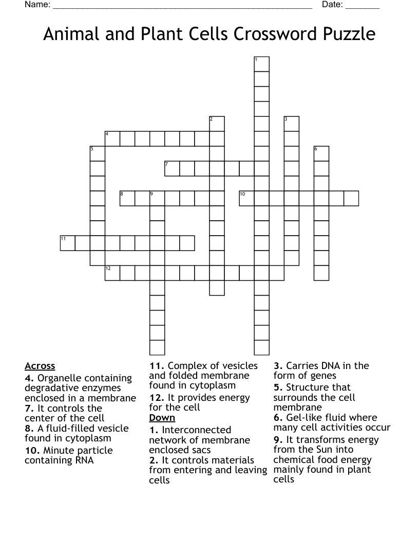 Animal and Plant Cells Crossword Puzzle