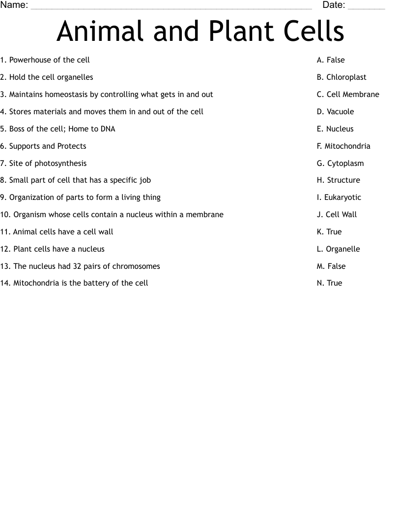 Animal and Plant Cells  Worksheet