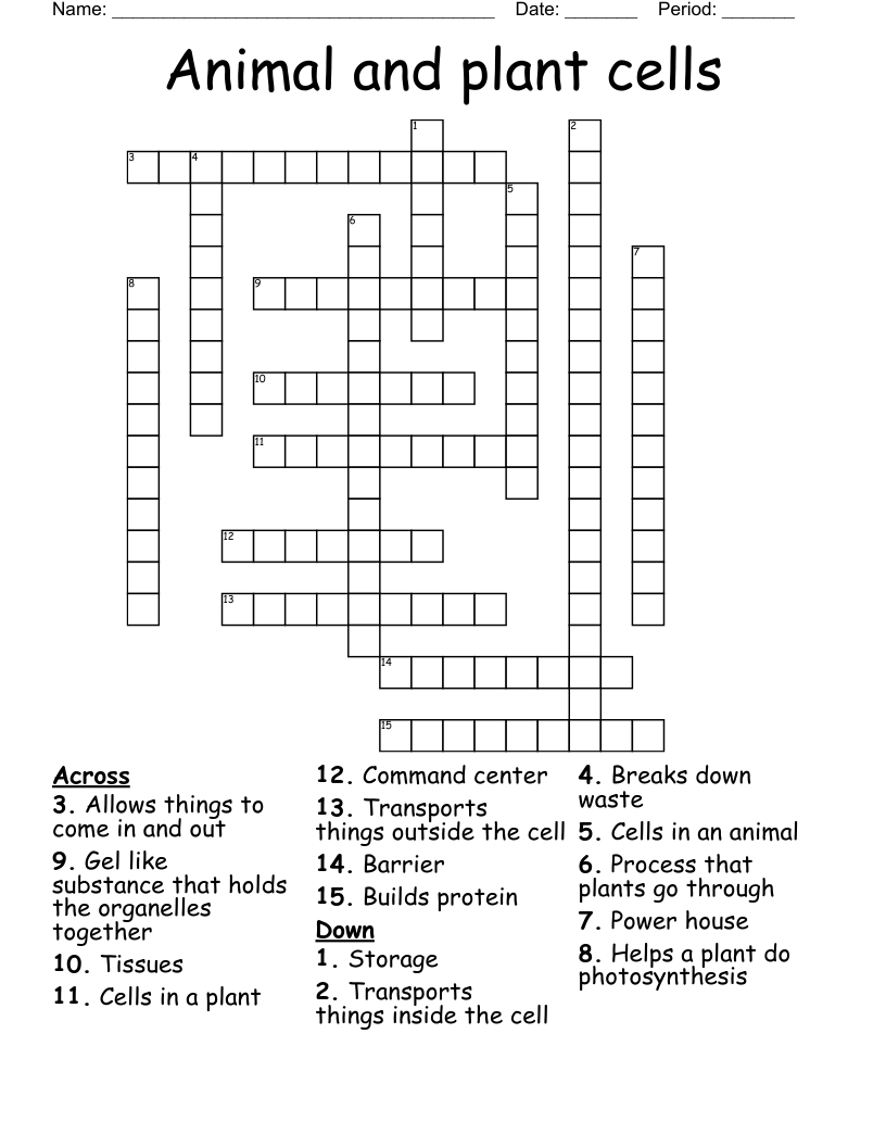 Animal and plant cells Crossword