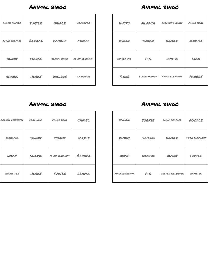 Animal bingo
