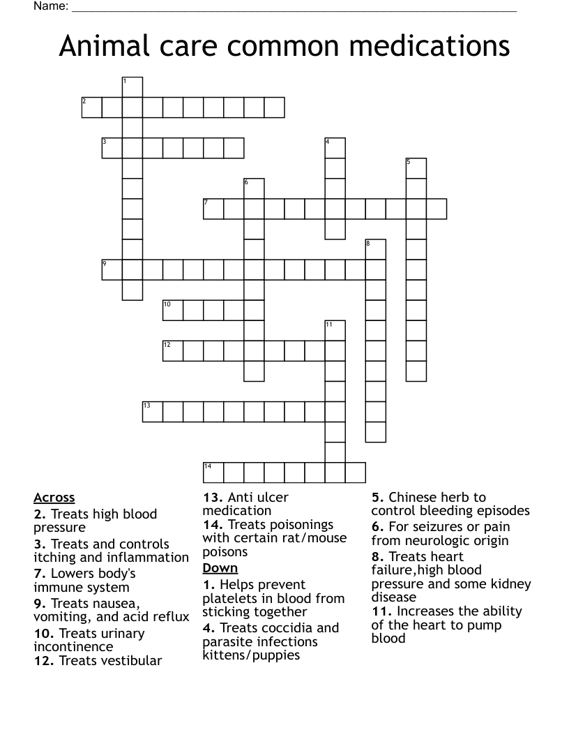 Animal care common medications Crossword