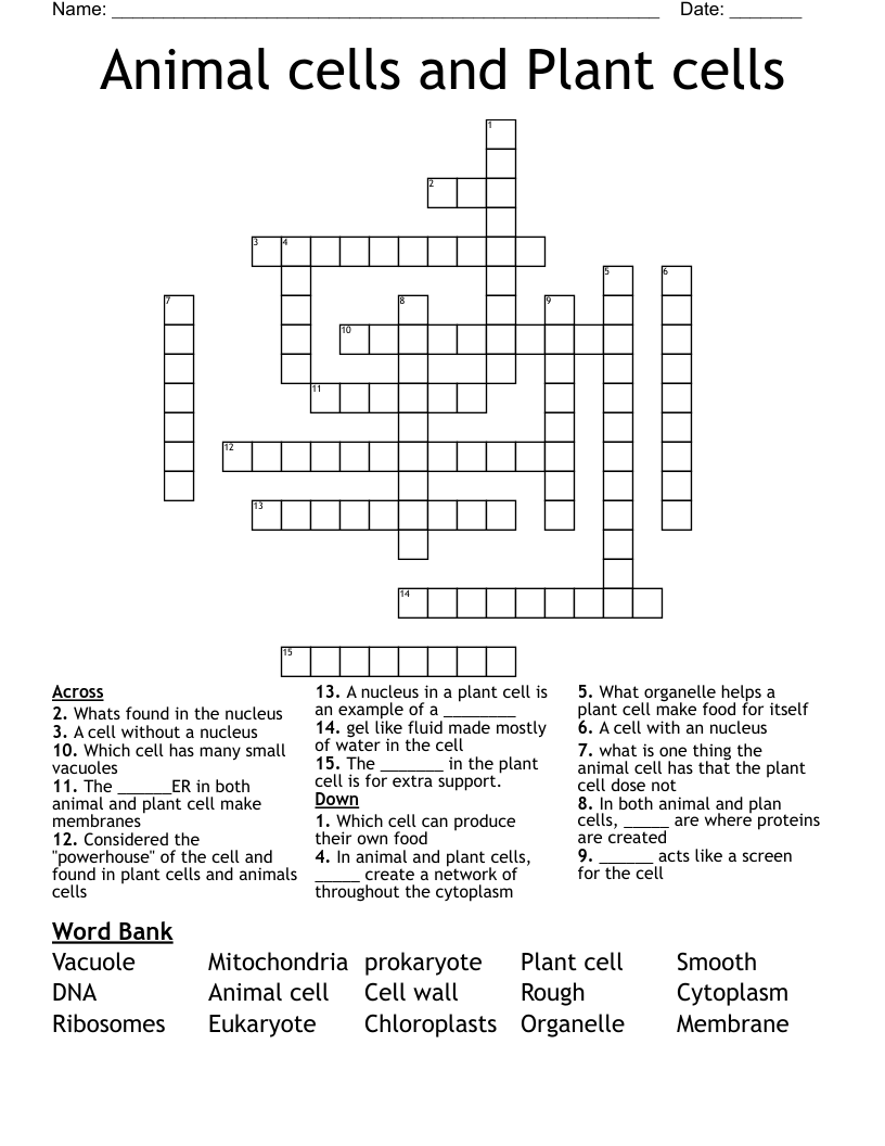 Animal cells and Plant cells Crossword