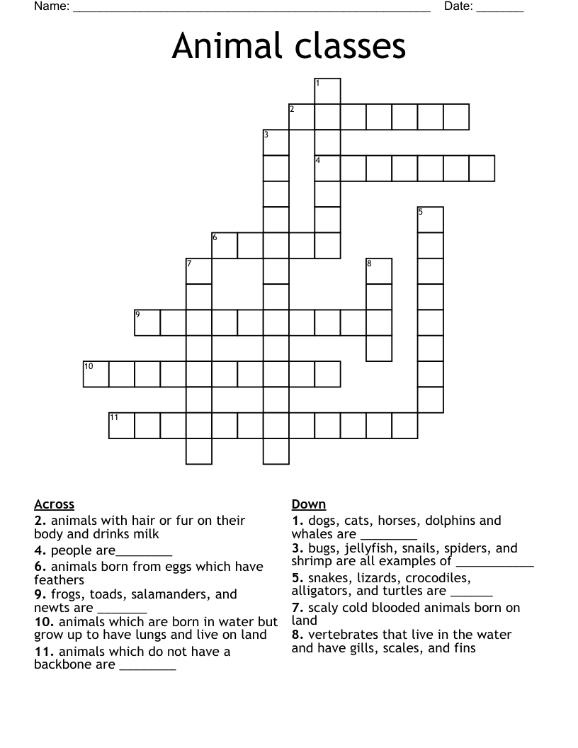 Animal classes Crossword