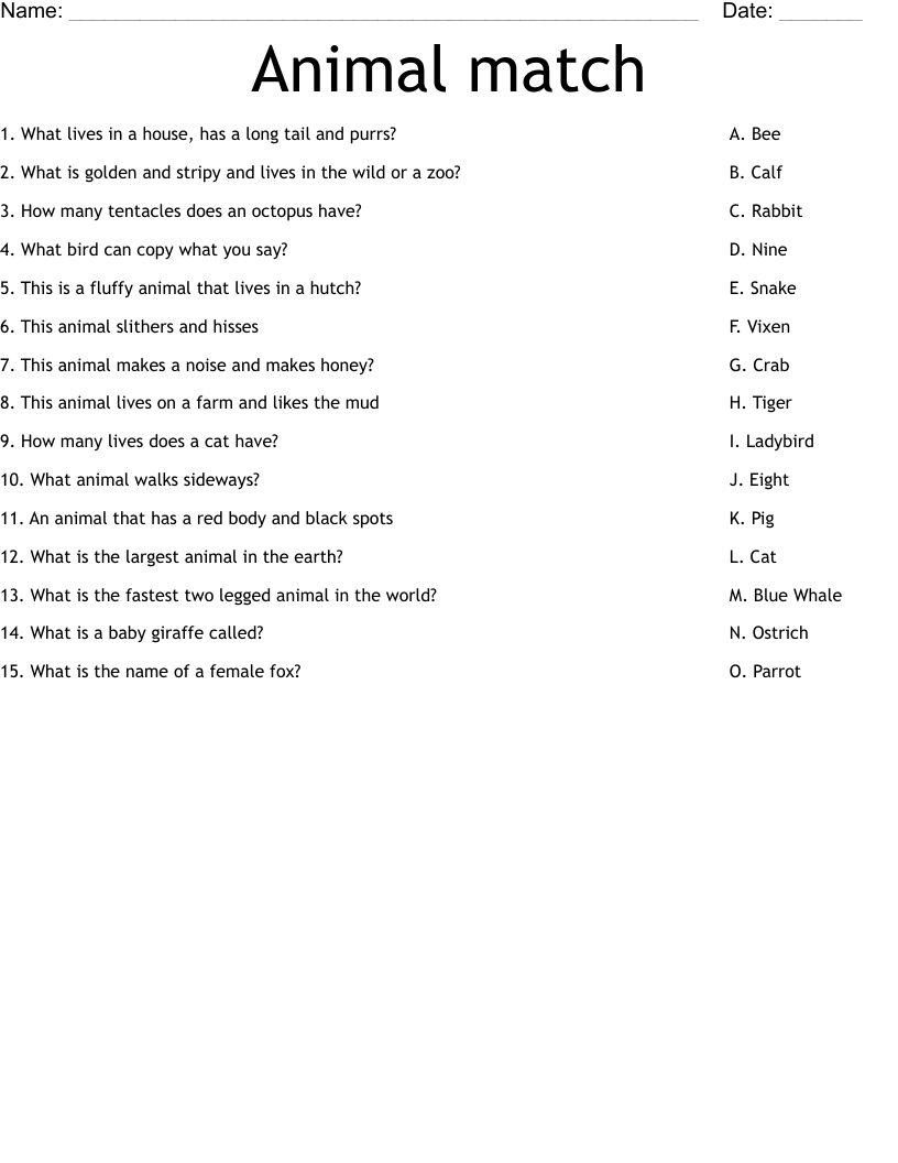 Animal match Worksheet