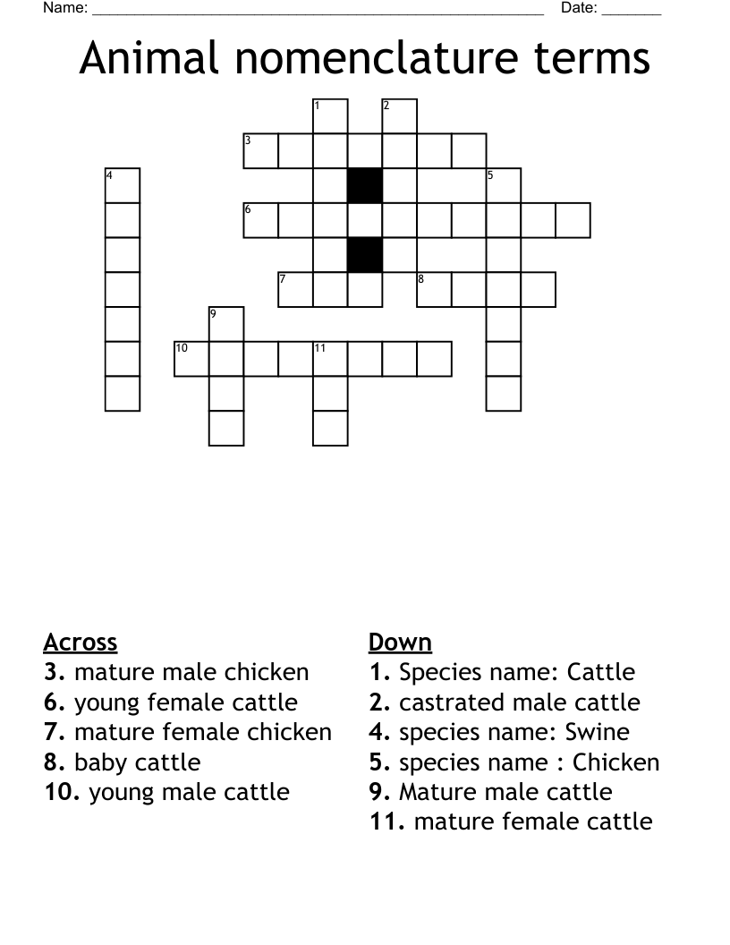 Animal nomenclature terms Crossword