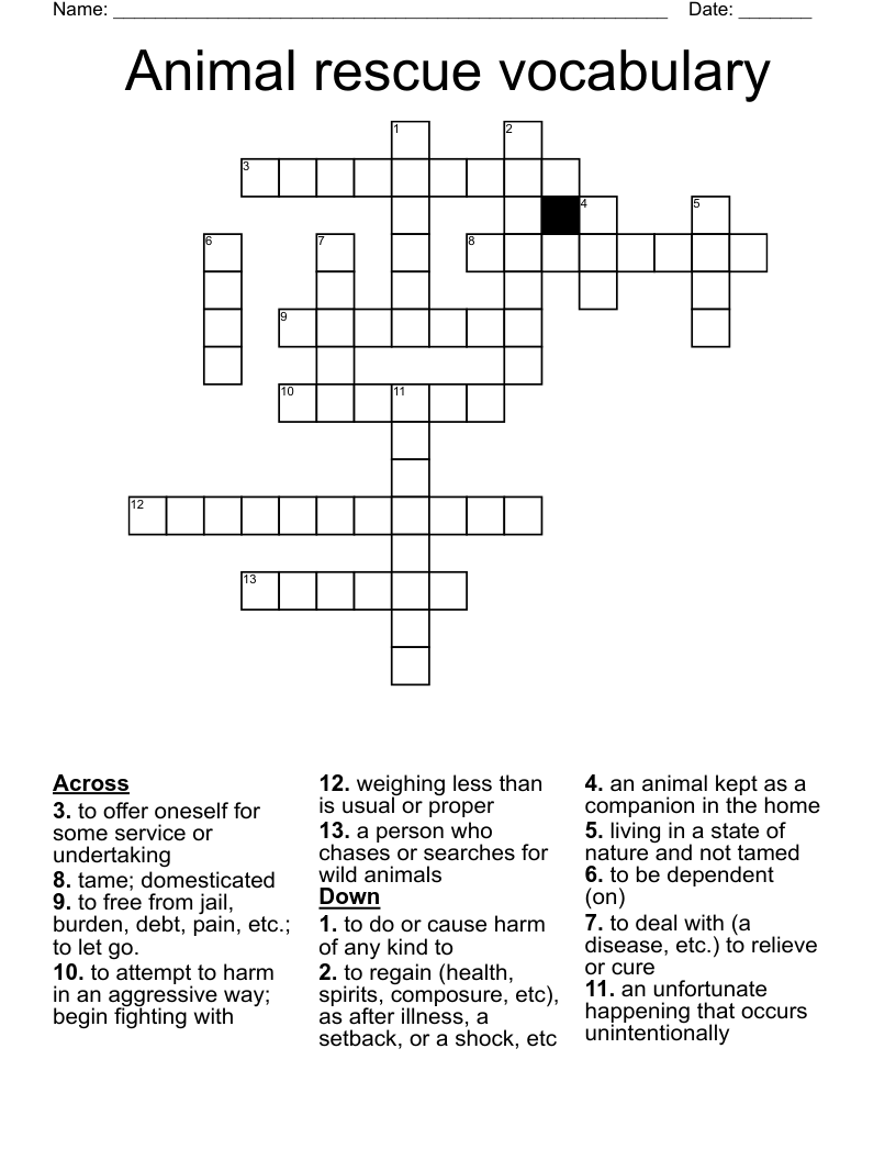 Animal rescue vocabulary Crossword