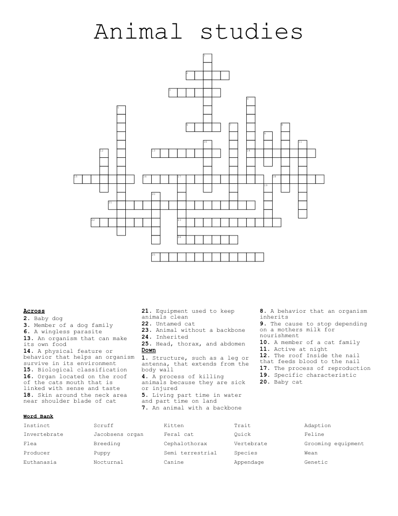 Animal studies  Crossword