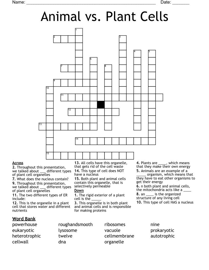 Animal vs. Plant Cells Crossword