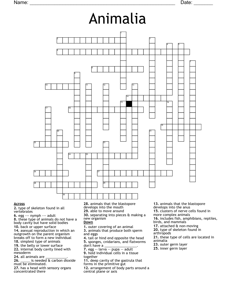 Animalia Crossword