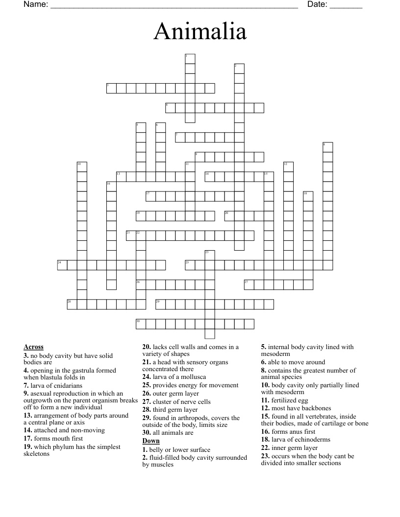 Animalia   Crossword